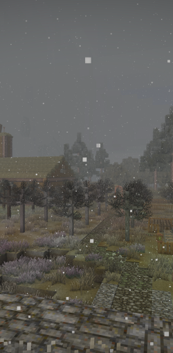 winter scene at lennies base